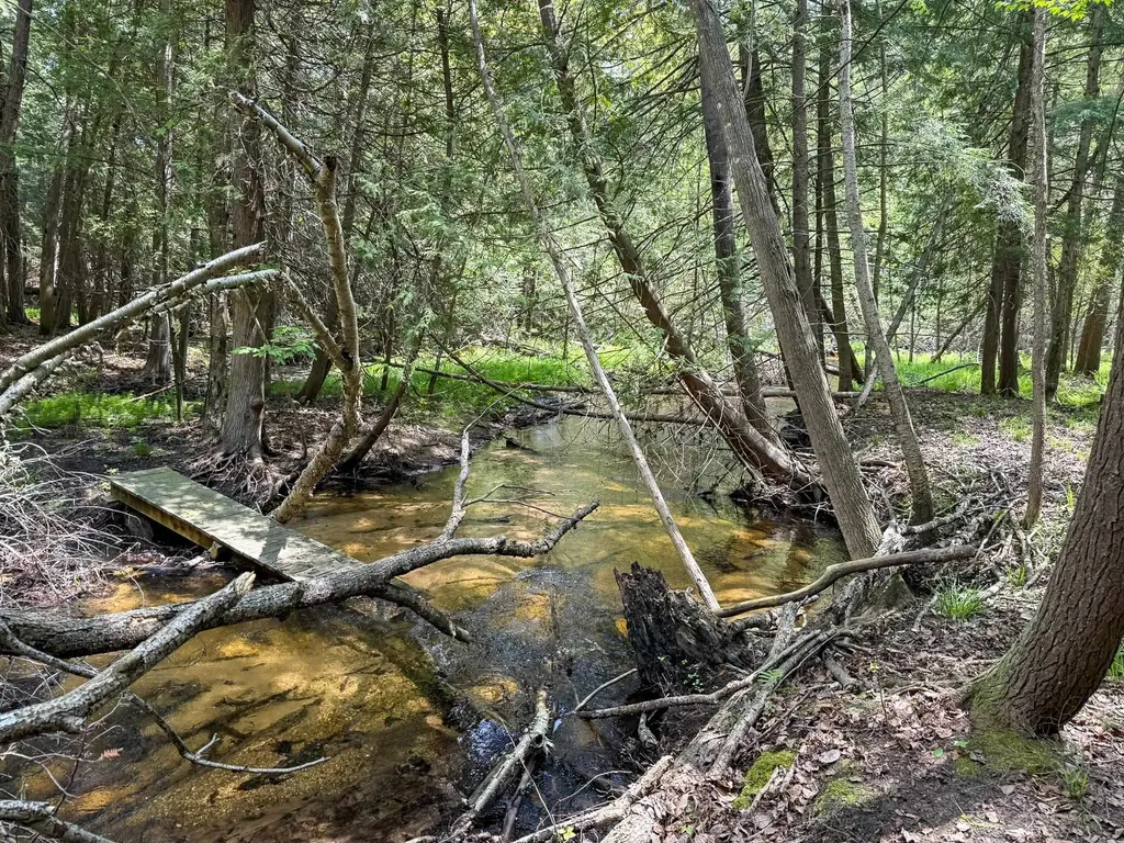 2155 N Belanger Creek Drive Suttons Bay Township MI 49682