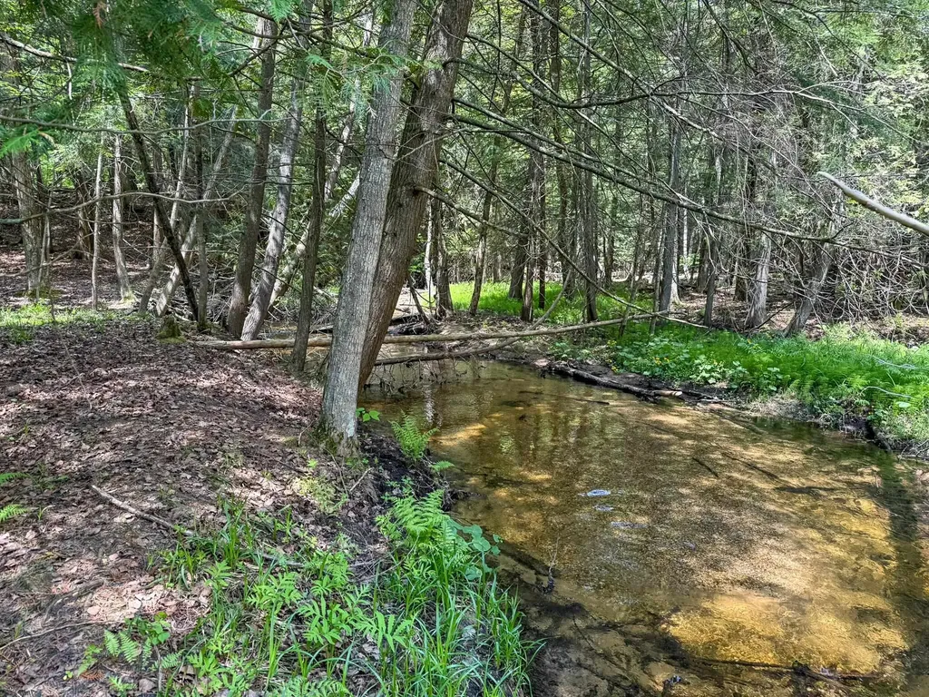 2155 N Belanger Creek Drive Suttons Bay Township MI 49682