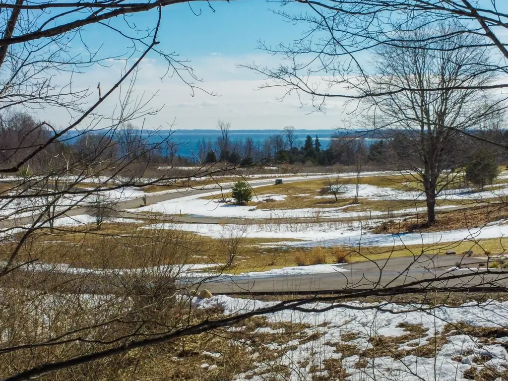 2155 N Belanger Creek Drive Suttons Bay Township MI 49682