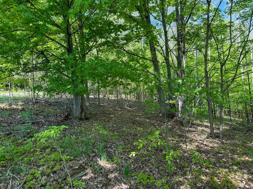 2155 N Belanger Creek Drive Suttons Bay Township MI 49682