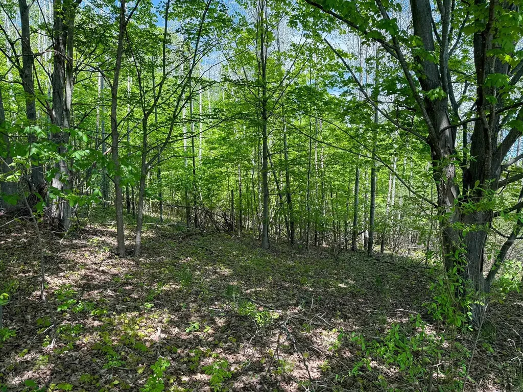 2155 N Belanger Creek Drive Suttons Bay Township MI 49682
