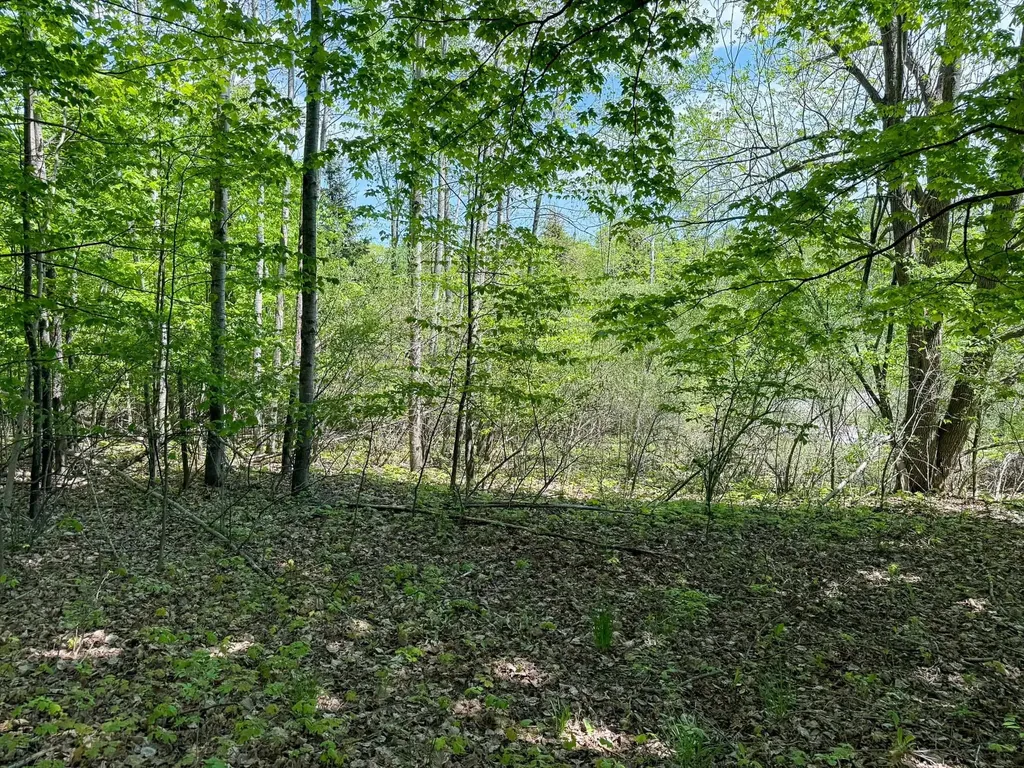 2155 N Belanger Creek Drive Suttons Bay Township MI 49682