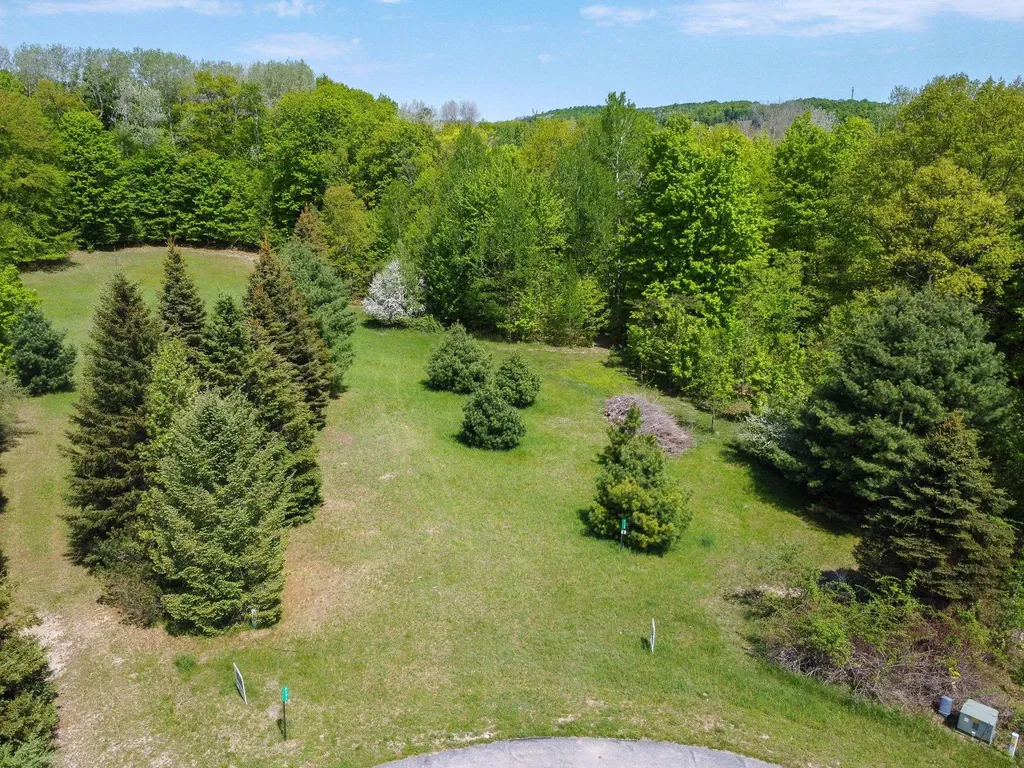 2164 N Belanger Creek Drive Suttons Bay Township MI 49682