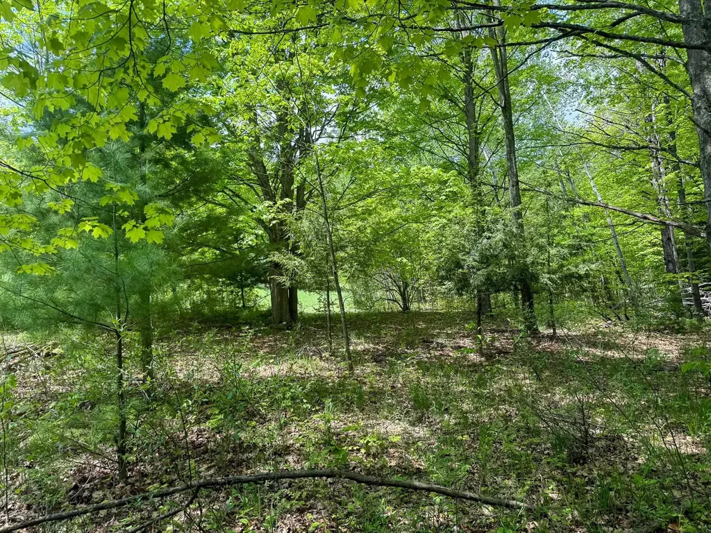 2164 N Belanger Creek Drive Suttons Bay Township MI 49682