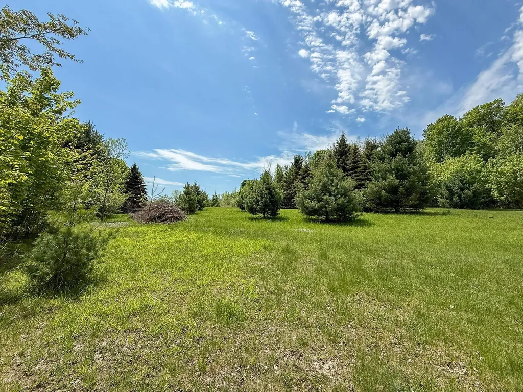 2164 N Belanger Creek Drive Suttons Bay Township MI 49682