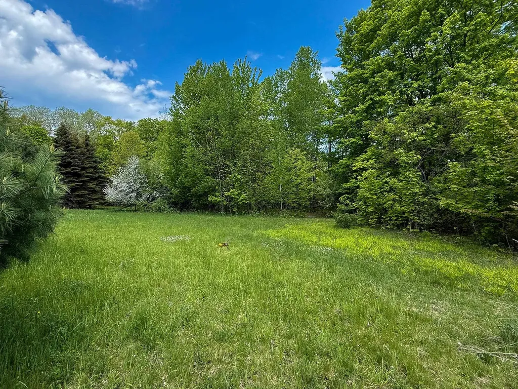 2164 N Belanger Creek Drive Suttons Bay Township MI 49682