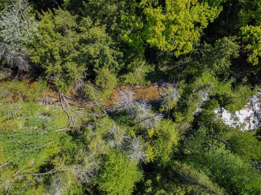 2164 N Belanger Creek Drive Suttons Bay Township MI 49682