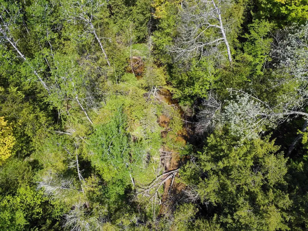 2164 N Belanger Creek Drive Suttons Bay Township MI 49682