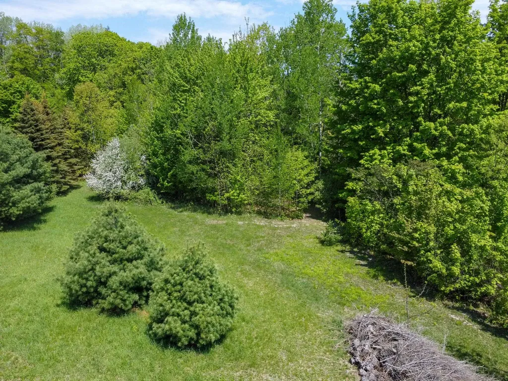 2164 N Belanger Creek Drive Suttons Bay Township MI 49682