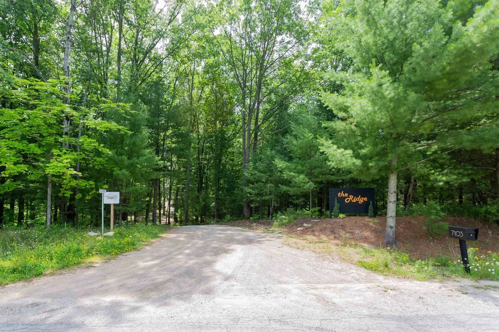 7103 Lake View Ridge Almira Township MI 49650