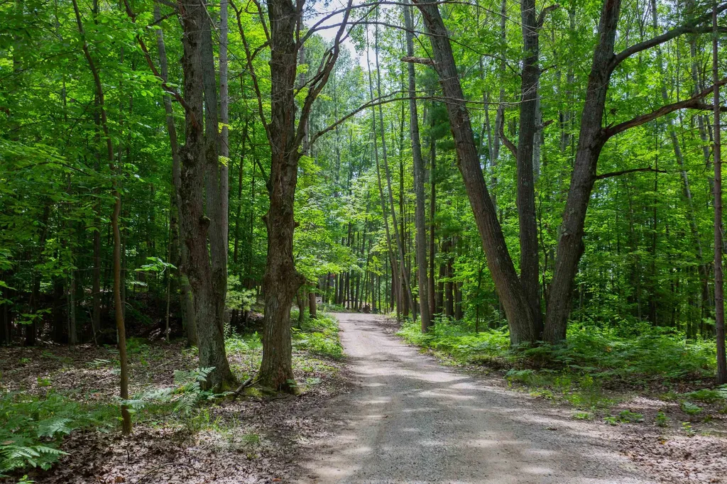 7103 Lake View Ridge Almira Township MI 49650