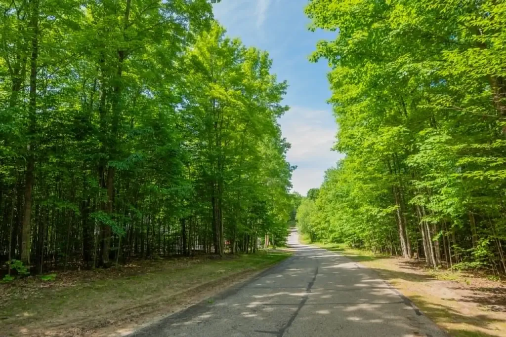 4972 Hawks Spur Kearney Township MI 49615