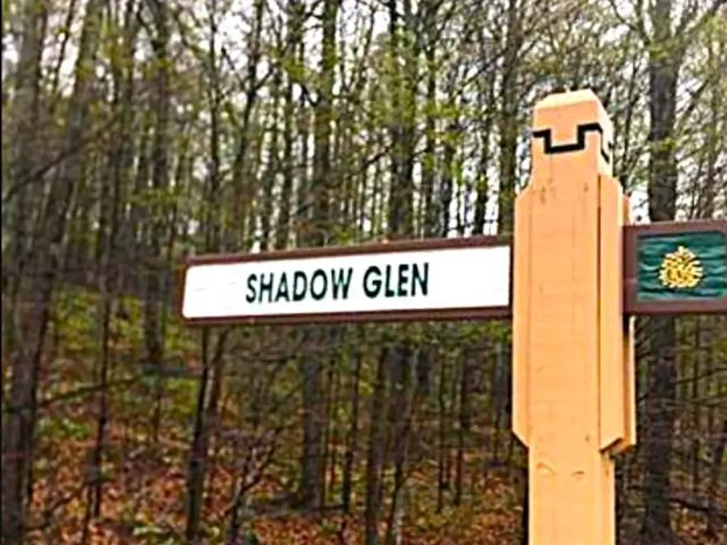 207 Shadow Glen Kearney Township MI 49615