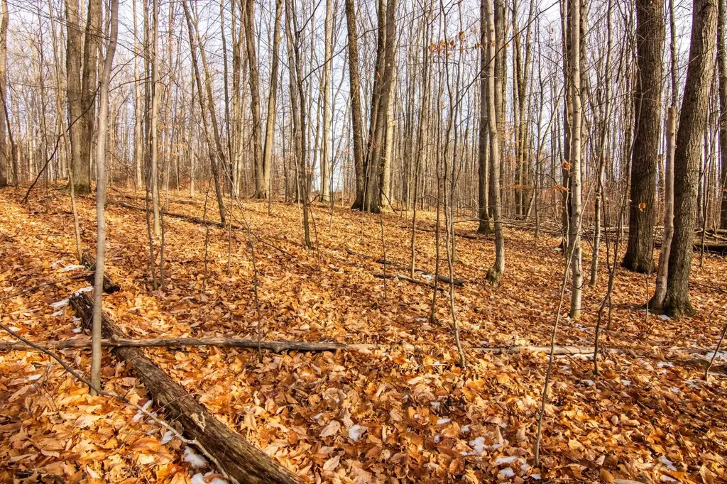 158 Forest Highlands Kearney Township MI 49615