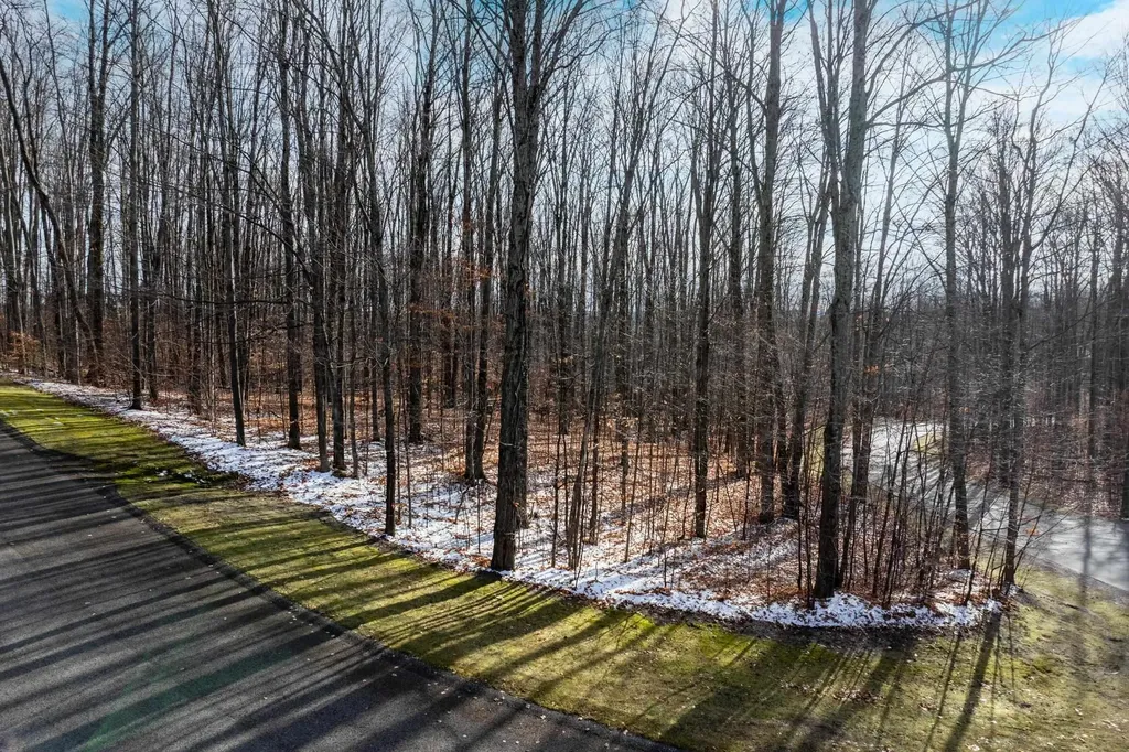 158 Forest Highlands Kearney Township MI 49615
