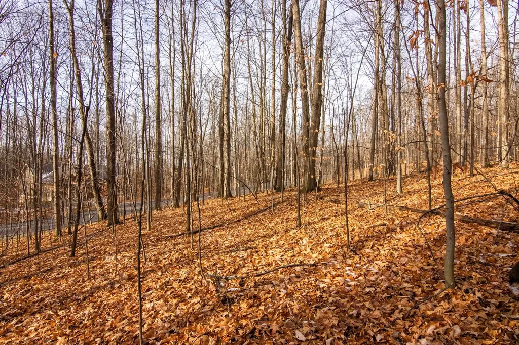 158 Forest Highlands Kearney Township MI 49615