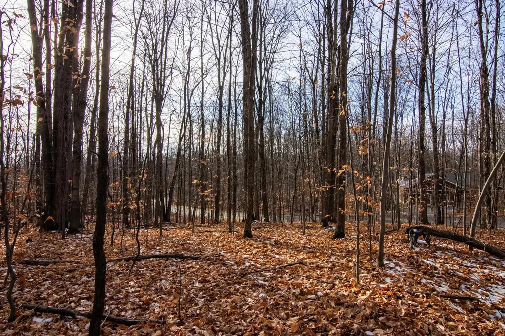 158 Forest Highlands Kearney Township MI 49615