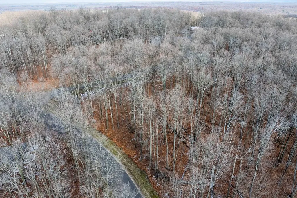 158 Forest Highlands Kearney Township MI 49615