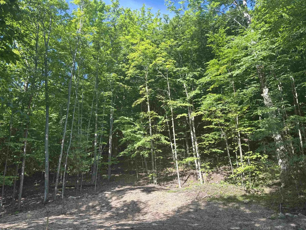 7681 NW Torch Lake Drive Milton Township MI 49648