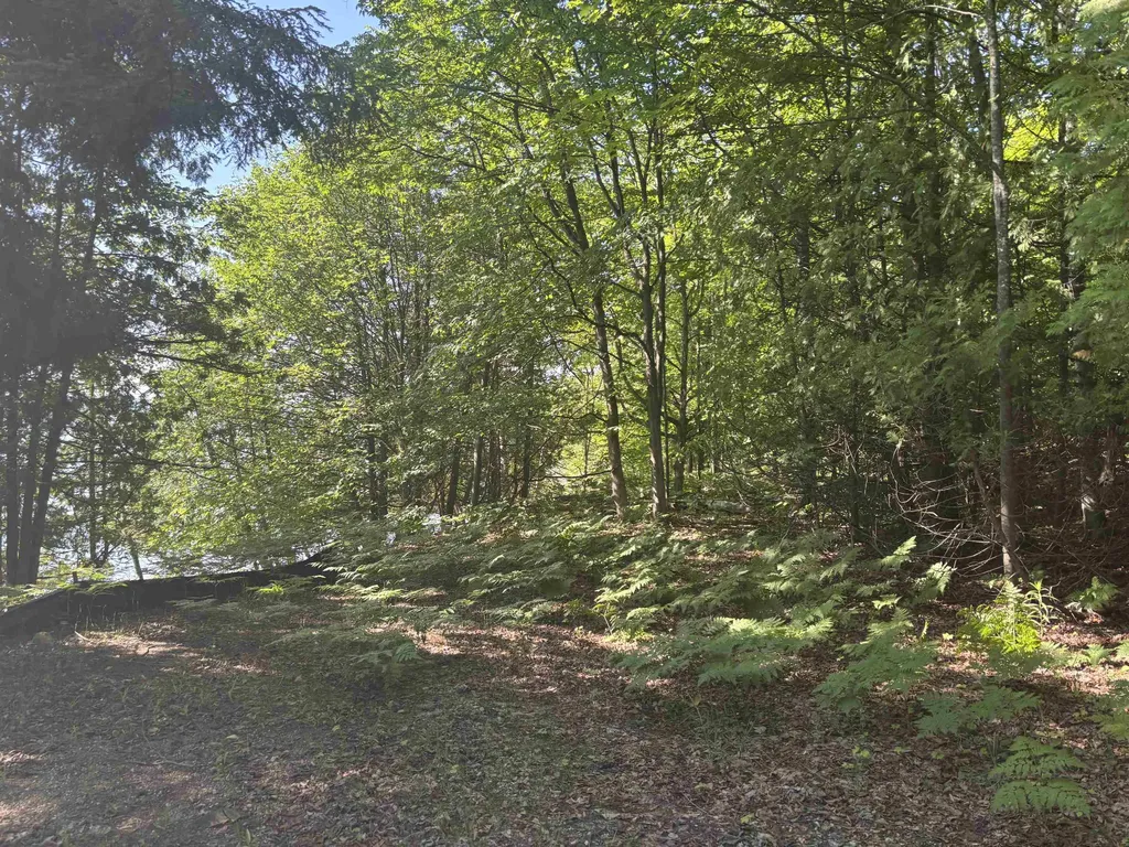 7681 NW Torch Lake Drive Milton Township MI 49648