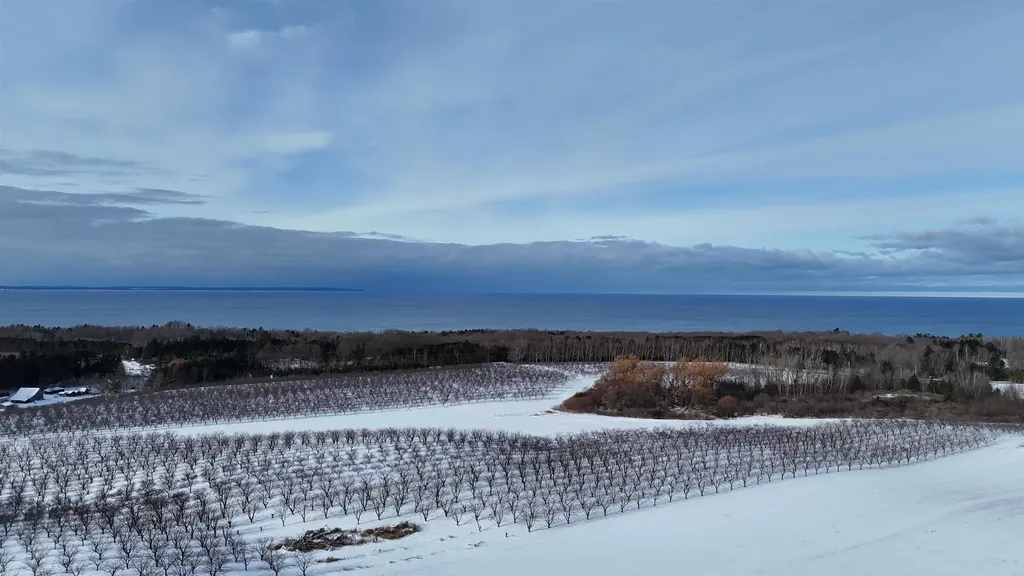 N Manitou Trail Leelanau Township MI 49670