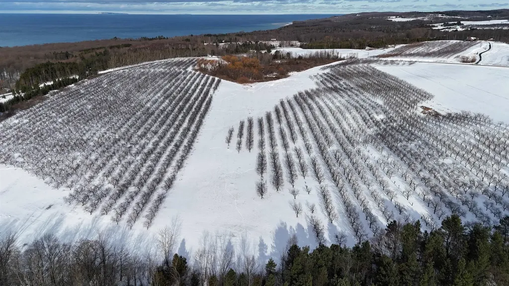 N Manitou Trail Leelanau Township MI 49670