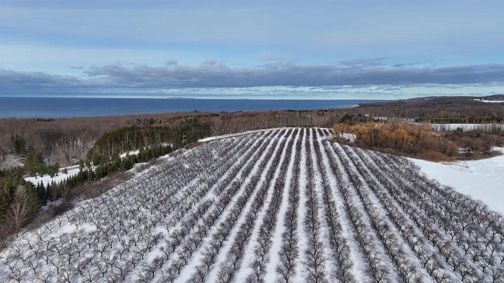 N Manitou Trail Leelanau Township MI 49670