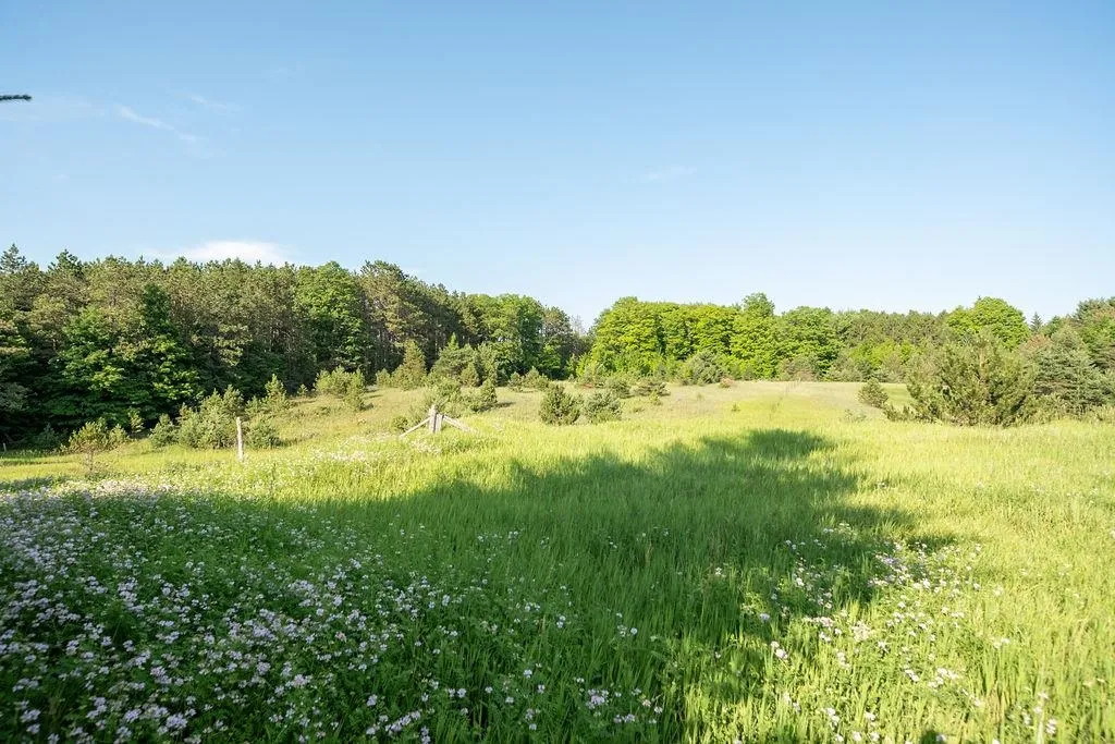 S M-37 Blair Township MI 49685