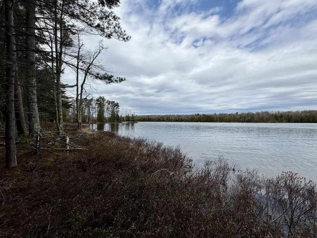 Tbd Whitetail Trail Peaine Township MI 49782