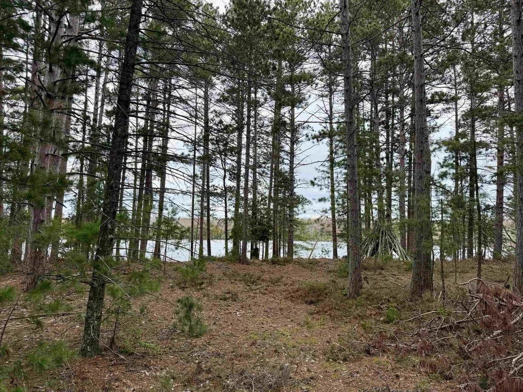 Tbd Whitetail Trail Peaine Township MI 49782