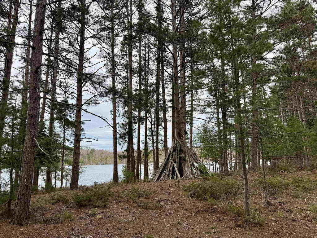 Tbd Whitetail Trail Peaine Township MI 49782