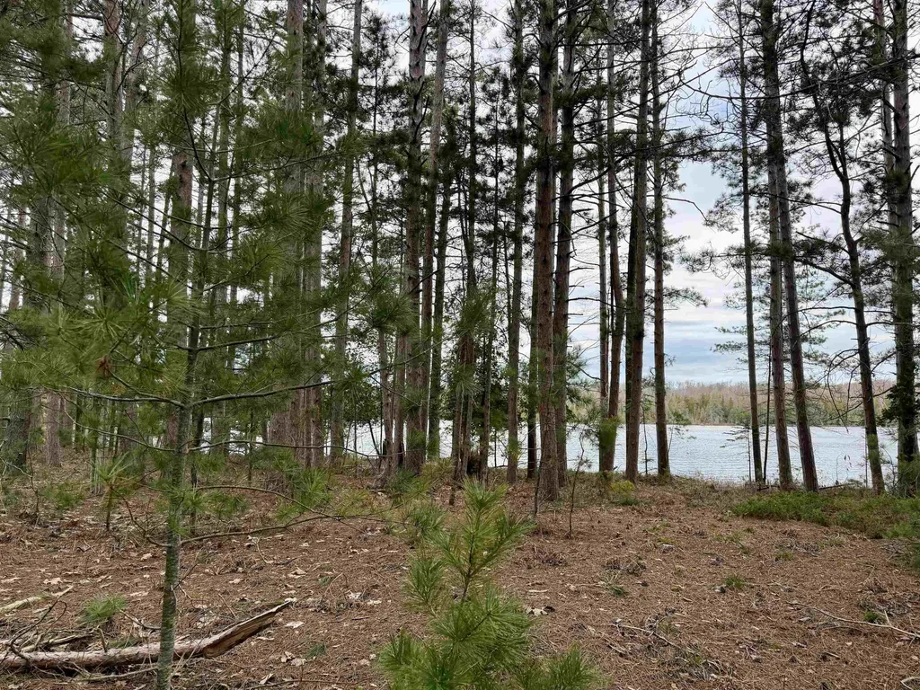 Tbd Whitetail Trail Peaine Township MI 49782