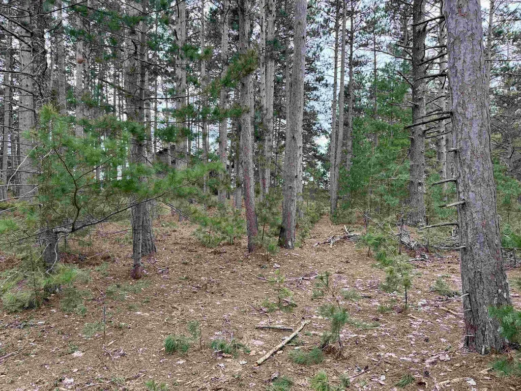 Tbd Whitetail Trail Peaine Township MI 49782