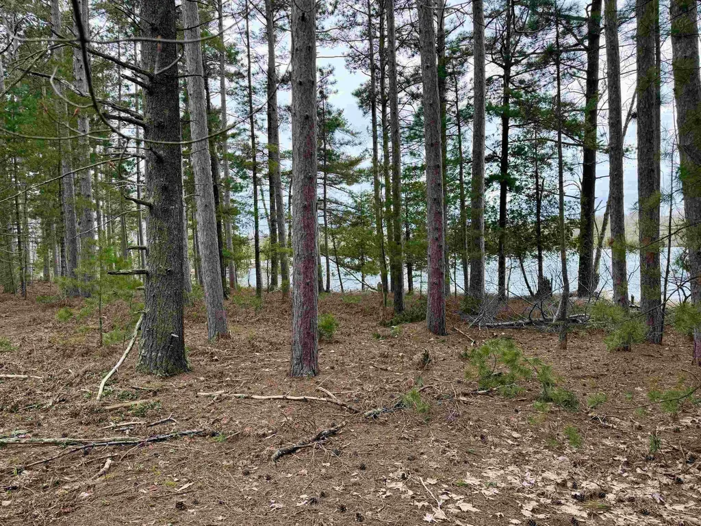 Tbd Whitetail Trail Peaine Township MI 49782