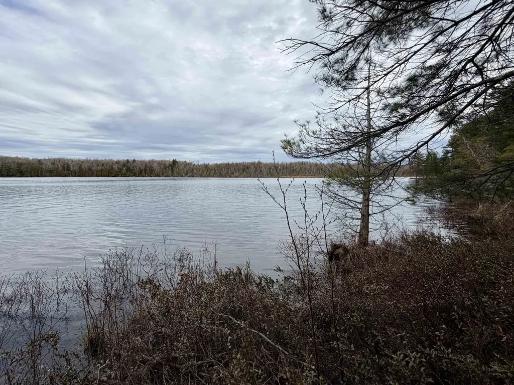 Tbd Whitetail Trail Peaine Township MI 49782