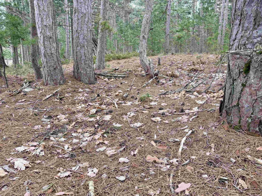 Tbd Whitetail Trail Peaine Township MI 49782