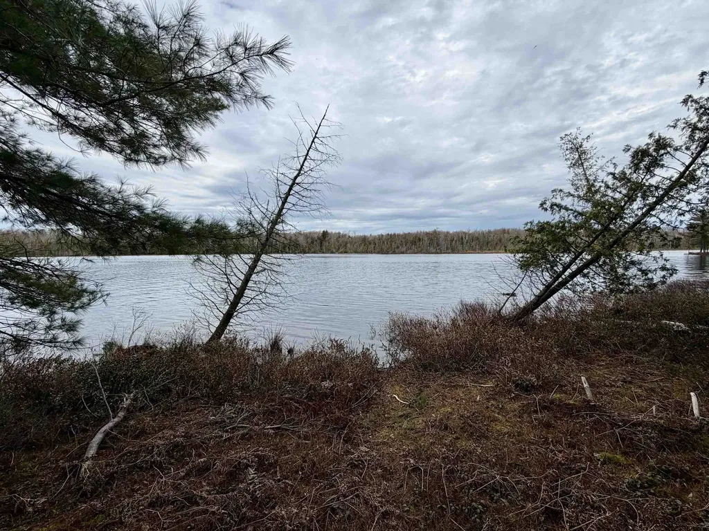 Tbd Whitetail Trail Peaine Township MI 49782