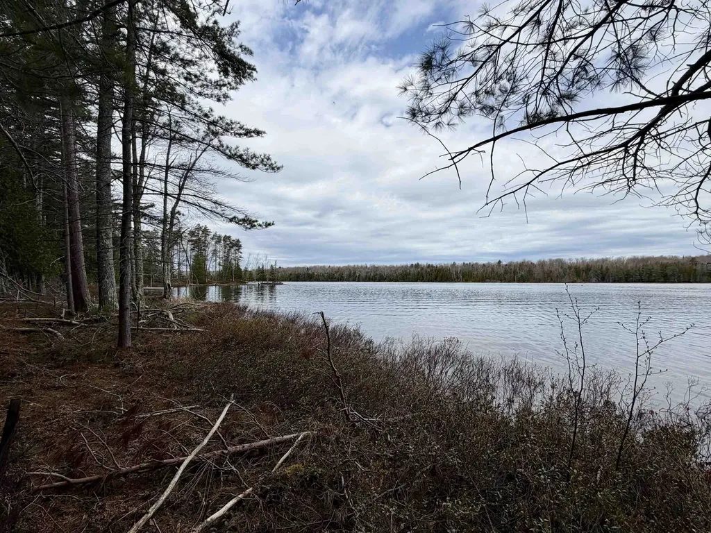 Tbd Whitetail Trail Peaine Township MI 49782