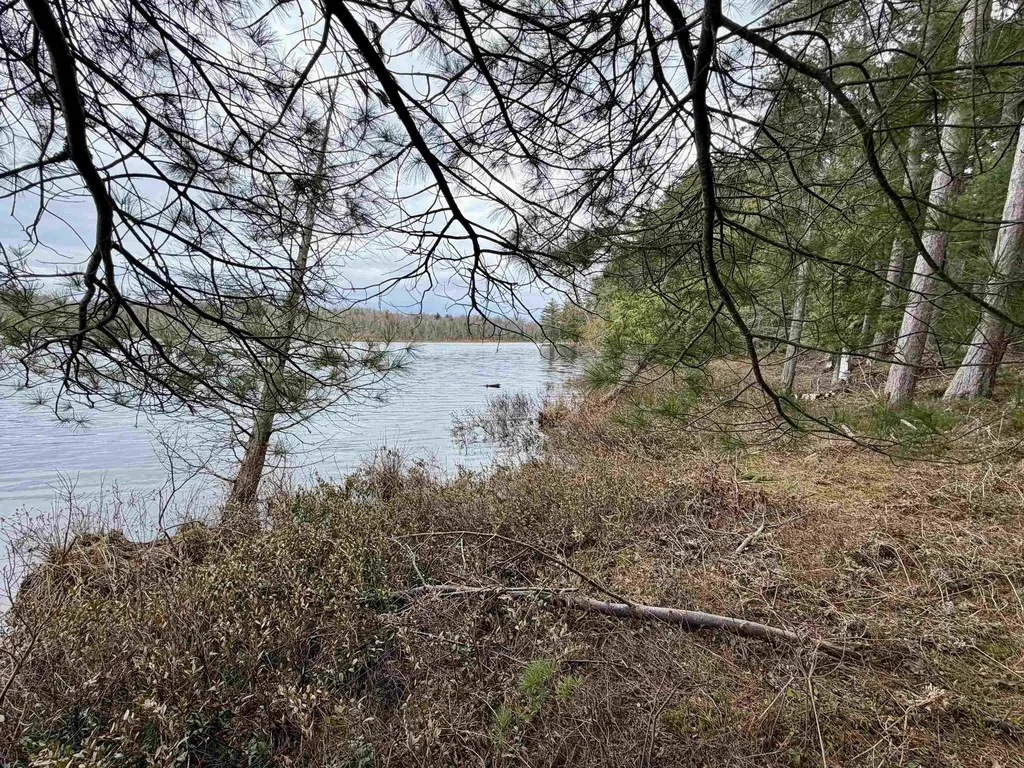 Tbd Whitetail Trail Peaine Township MI 49782
