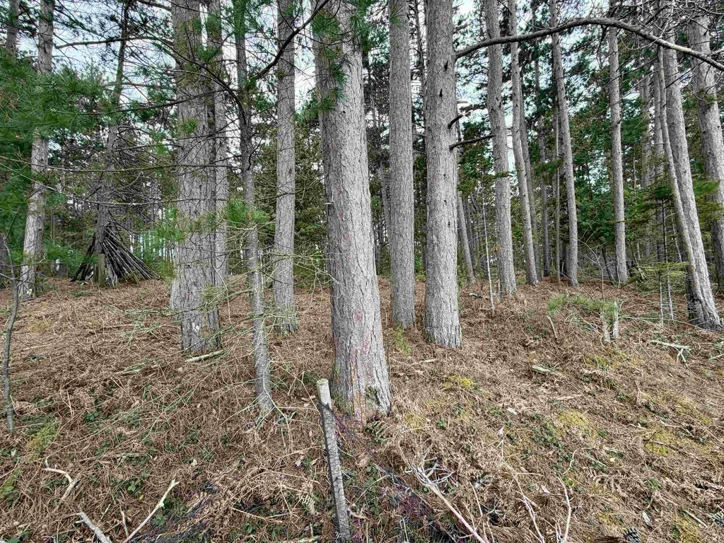 Tbd Whitetail Trail Peaine Township MI 49782