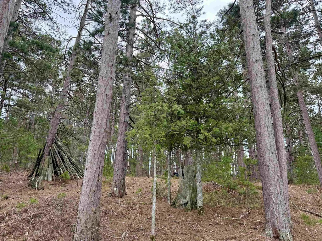 Tbd Whitetail Trail Peaine Township MI 49782