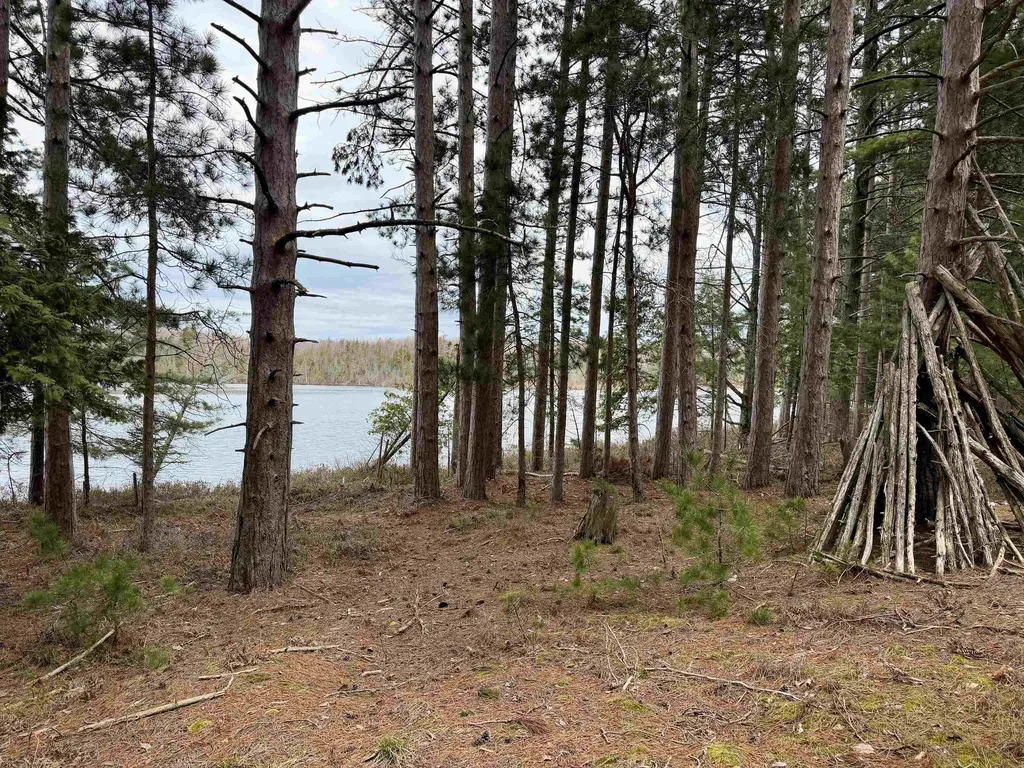 Tbd Whitetail Trail Peaine Township MI 49782