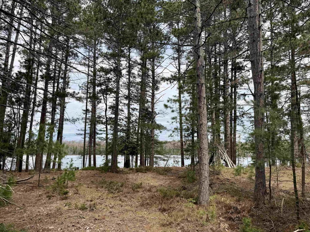 Tbd Whitetail Trail Peaine Township MI 49782