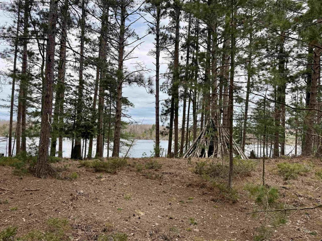 Tbd Whitetail Trail Peaine Township MI 49782
