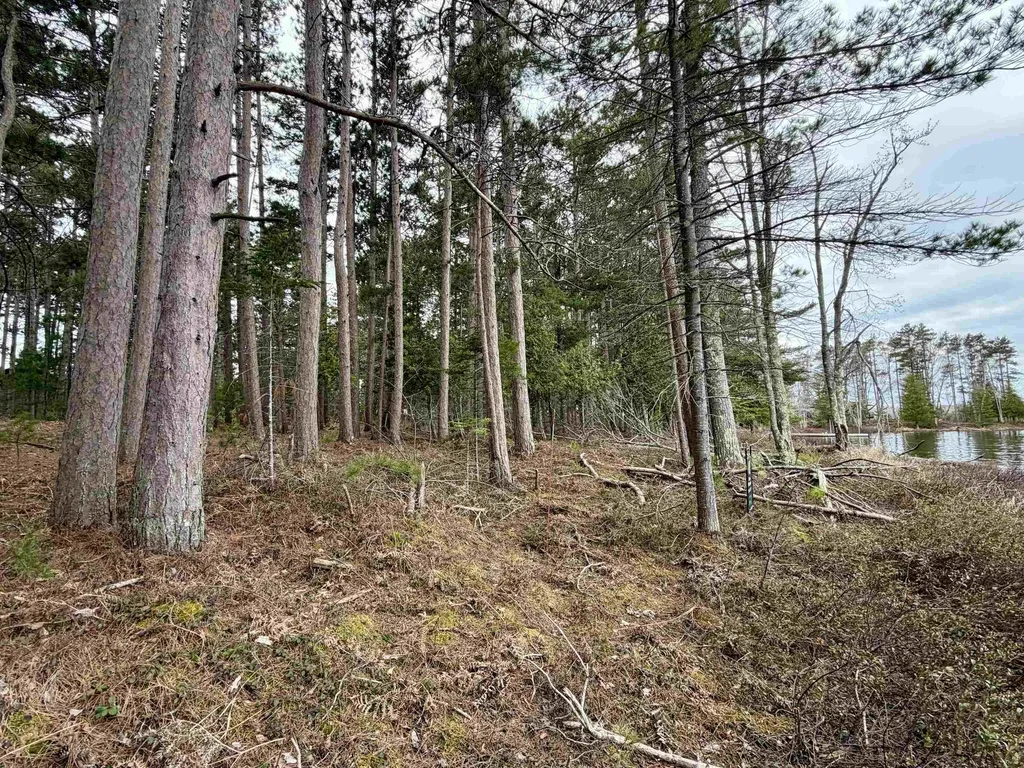 Tbd Whitetail Trail Peaine Township MI 49782