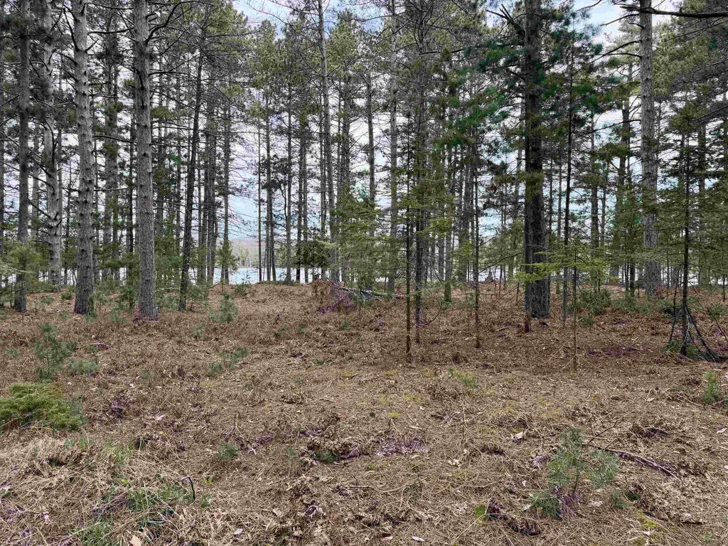 Tbd Whitetail Trail Peaine Township MI 49782