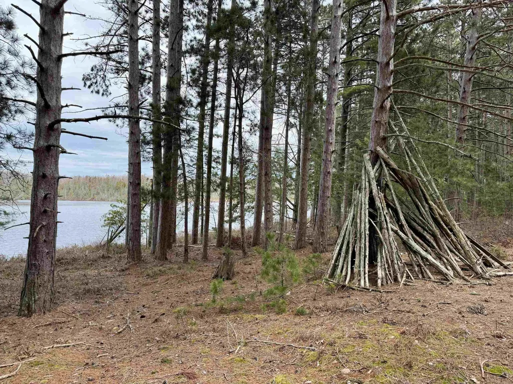 Tbd Whitetail Trail Peaine Township MI 49782