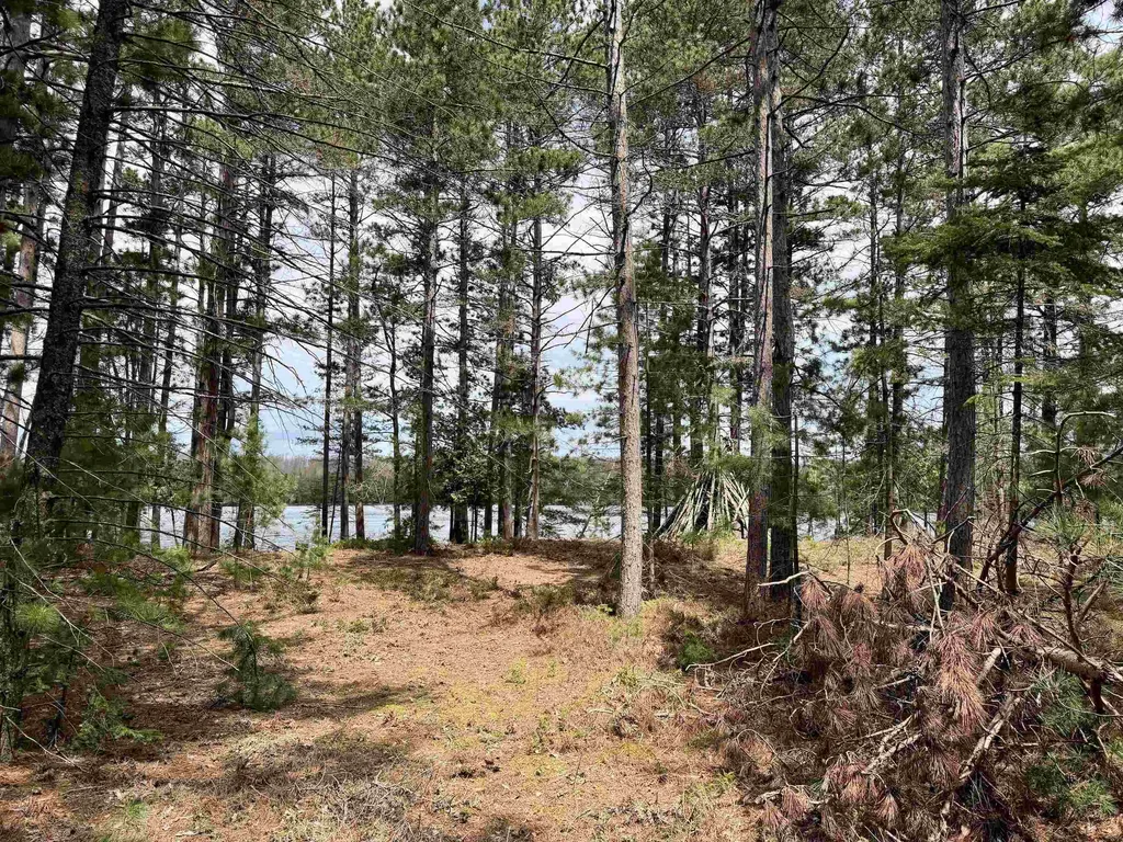 Tbd Whitetail Trail Peaine Township MI 49782