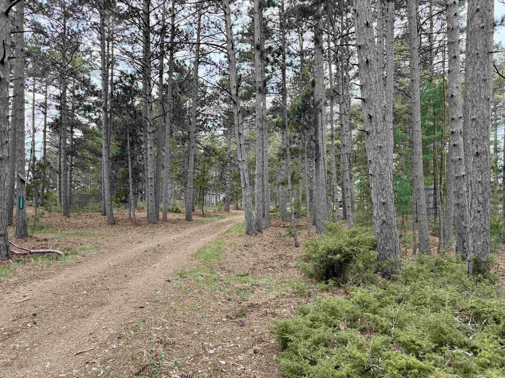 Tbd Whitetail Trail Peaine Township MI 49782