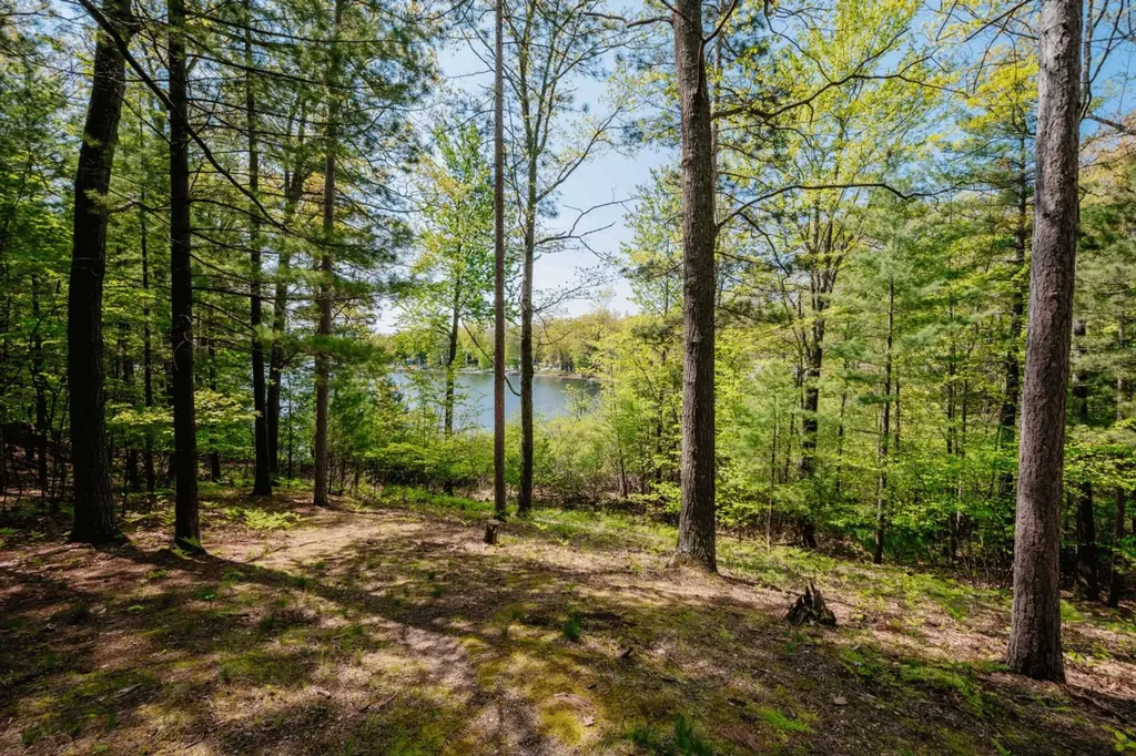 600 Bass Lake Road Long Lake Township MI 49685